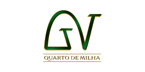 CLIENTES_0002_CLIENTES_0008_GV